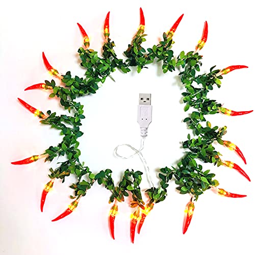 Riaxuebiy Rot Chili Lichterketten LED Seil Feen Nachtlicht Pfeffer Chili Lampen USB Warmweiß für Weihnachten Hochzeit Urlaub Party Dekoration (3m20led, Chili-B) von Riaxuebiy