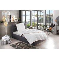 RIBECO Daunenbettdecke + Kopfkissen "Ella" zum Top-Preis RIBECO Daunenbettdecke + Kopfkissen "Ella" zum Top-Preis von Ribeco