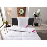 RIBECO Daunenbettdecke + Kopfkissen "Johanna" Wohlfühlkomfort mit den Vorzügen der Natur RIBECO Daunenbettdecke + Kopfkissen "Johanna" Wohlfühlkomfort mit den Vorzügen der Natur von Ribeco