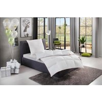 RIBECO Daunenbettdecke "Ella", normal, Füllung 90% Daunen & 10% Federn, Bezug Baumwolle, (1 St.), Zum Top-Preis von Ribeco