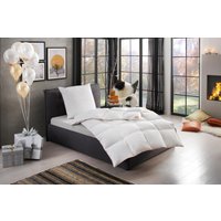 RIBECO Daunenbettdecke "Ella" warm Füllung 90% Daunen & 10% Federn Bezug Baumwolle 1 Stk. tlg. Zum Top-Preis RIBECO Daunenbettdecke "Ella" warm Füllung 90% Daunen & 10% Federn Bezug Baumwolle 1 Stk. tlg. Zum Top-Preis von Ribeco