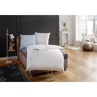 RIBECO Federbettdecke "Leon, Ballonbettdecke 135x200" extrawarm Füllung 100Federn 1 Stk. tlg. Hergestellt in Deutschland von Ribeco