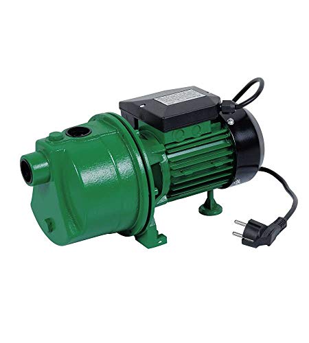 Ribimex PRJET61 Oberflächenpumpe Jet61, 600 W, Grün/Schwarz von RIBIMEX
