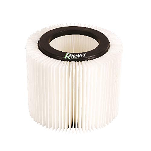 Ribimex PRASP31LPE/HEPA HEPA-Ersatzfilter für Staubsauger PRASP31LPE, schwarz und weiß von RIBIMEX