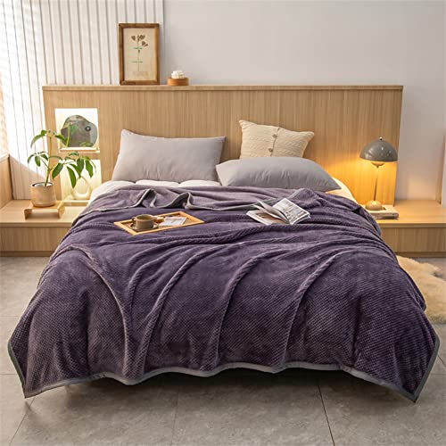 Ricemru Lila Kuscheldecke Fleece Flauschig 200x230 Waffel Wohndecken Flanell Decke Extra Weich Dicker Warm Einfarbig Mikrofaser Kuschel Decken Couchdecke Sofadecke Tagesdecke von Ricemru