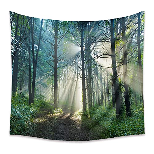 Ricemru Natur Wald Wandteppich Nacht Baum Wandtücher Dark Forest Wandbehang Landschaft Hell Sonnenlicht 3D Druck Tapestries Hanging Wanddeko Boho für Wohnzimmer,150x130 von Ricemru