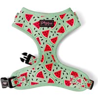 Melon Tastic Verstellbares Welpen Oder Hunde Geschirr Mit Optional Passender Hundeleine Größen Xs Bis Xl Das Perfekte Geschenk von RichPaw