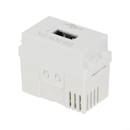 RichVibe USB-Schnittstellen-Adapter-Schaltermodul, 5 V Transformator, 2,1 A, Schnelllade-Panel, Handygerät, Steckdose (1 Stück) von RichVibe