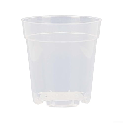 Transparente Pflanztöpfe mit Drainage, 10 Stück, für effektive Überwachung des Pflanzenwachstums und der Gesundheit (17 cm) von RichVibe