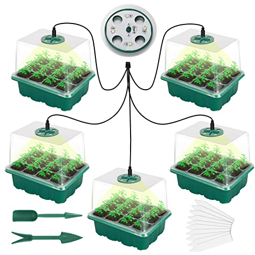 Richaa 5 Stück 60 Zellen Anzuchtset ZimmergewäChshaus mit Licht Mini Anzucht GewäChshaus Klein Pflanzen Zimmergewächshaus Aufzucht Set Anzuchtschalen mit Deckel Kleines GewäChshaus für Zimmer Indoor von Richaa