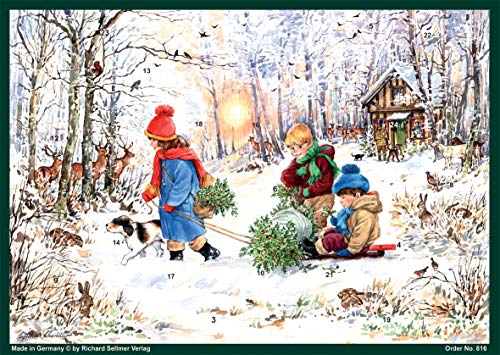 Adventskalender/Weihnachtskalender auf Papier für Kinder und Erwachsene "Schneefreuden im Wald" Adventskalender/Weihnachtskalender auf Papier für Kinder und Erwachsene "Schneefreuden im Wald" von Richard Sellmer Verlag