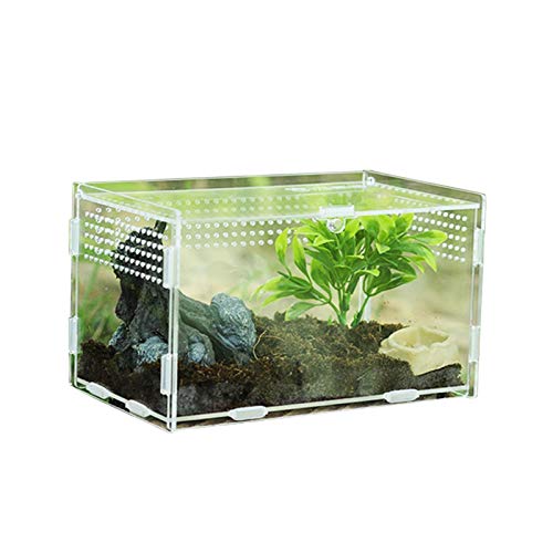 Reptilienbox Acryl Reptilien Transportbox Clear Fütterungsbox Terrarium Transparente Reptilien Zuchtbox Für Reptilien Spinnen Skorpione Gehörnte Frösche Käfer Faunarium von Richolyn