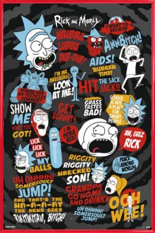 Rick and Morty Poster Plakat | Bild und Kunststoff-Rahmen - Quotes (91 x 61cm) von Rick and Morty