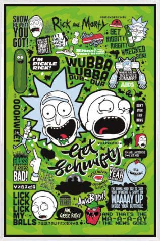 Rick and Morty Poster Plakat | Bild und Kunststoff-Rahmen - Zitate, Gurken-Rick, Recall Im Weltall (91 x 61cm) von Rick and Morty