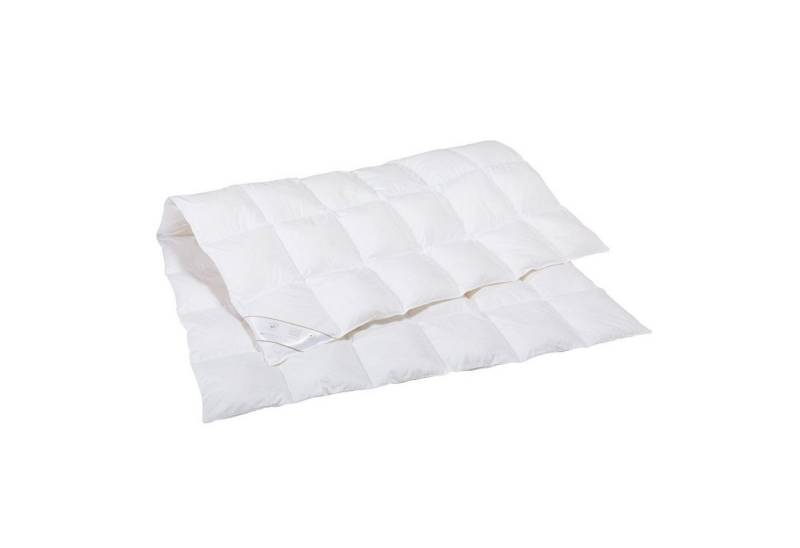 Rid Essentials Daunenbettdecke HOLSTEIN WEIDEGANS MEDIUM Baumwolle, Füllung: 100% Daunen, Bezug: Baumwolle, medium von Rid Essentials