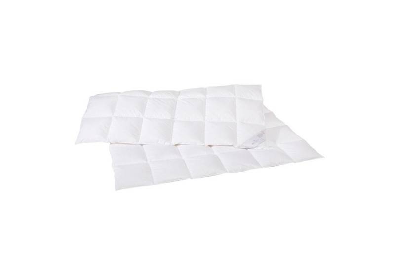 Rid Selection Daunenbettdecke SELECTION GOLD MEDIUM Normal 100% Daunen, Füllung: 100% Daunen, Bezug: Baumwolle, medium Rid Selection Daunenbettdecke SELECTION GOLD MEDIUM Normal 100% Daunen, Füllung: 100% Daunen, Bezug: Baumwolle, medium von Rid Selection