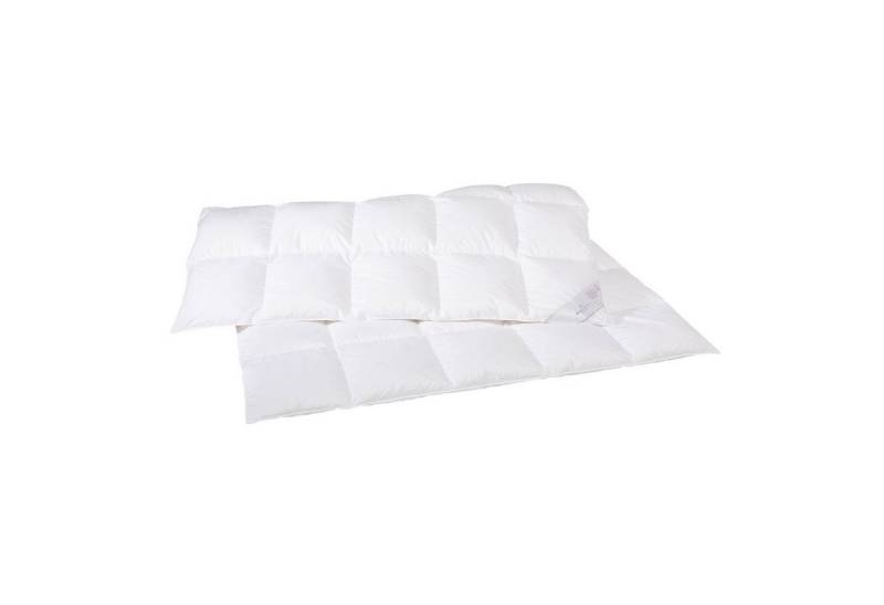 Rid Selection Einziehdecke SELECTION GOLD WARM Warm 100% Daunen, Füllung: 100% Baumwolle, Bezug: 100% Baumwolle, warm Rid Selection Einziehdecke SELECTION GOLD WARM Warm 100% Daunen, Füllung: 100% Baumwolle, Bezug: 100% Baumwolle, warm von Rid Selection