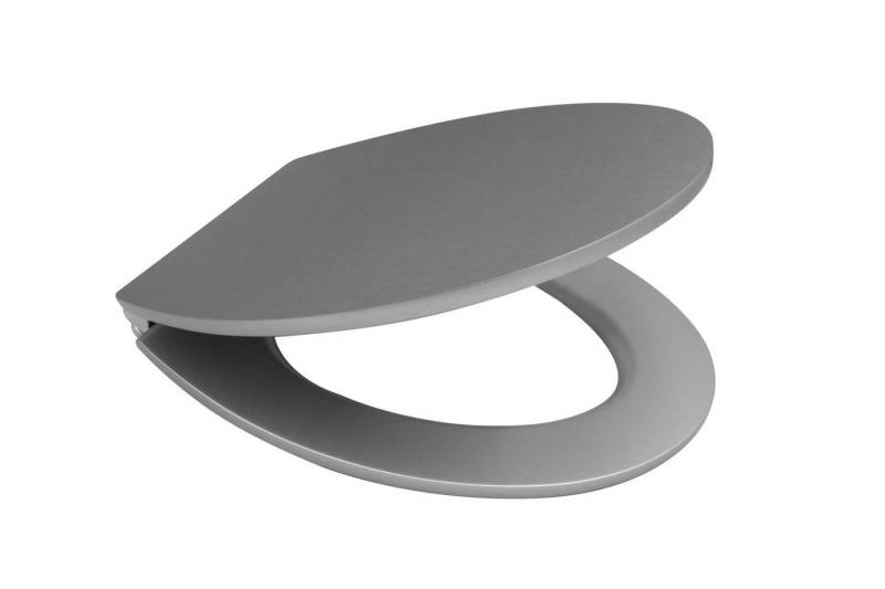 Ridder WC-Sitz Silvery silber Ridder WC-Sitz Silvery silber von Ridder