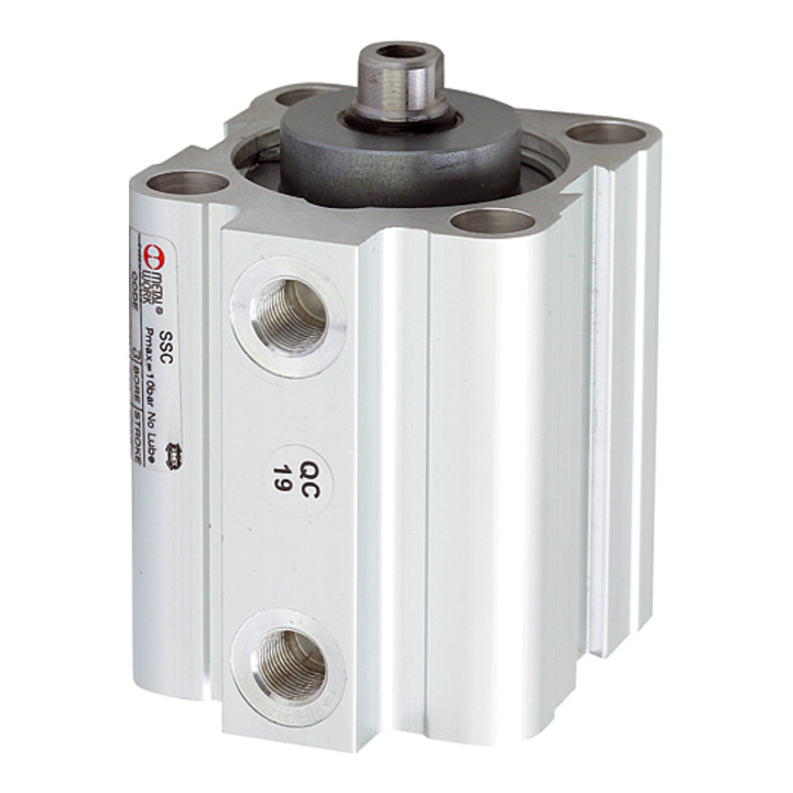 B-Ware Riegler Kurzhubzylinder Zylinder Magnet Kolben 25mm Hub 10mm G1/8 Doppeltwirkend von Riegler