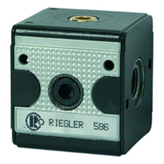 RIEGLER® - Rückschlagventil »multifix«, BG 1, G 1/4" von Riegler