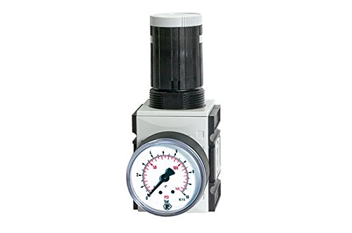 RIEGLER 100001-FU 7001 Druckregler »FUTURA«, inkl. Manometer, BG 1, G 1/4, 0,1-1 bar, 1Stk RIEGLER 100001-FU 7001 Druckregler »FUTURA«, inkl. Manometer, BG 1, G 1/4, 0,1-1 bar, 1Stk von Riegler