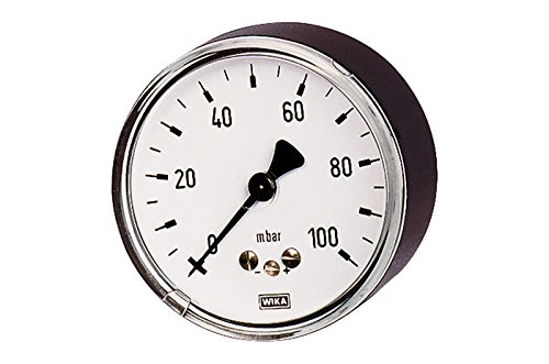 RIEGLER 102555-6821 Kapselfedermanometer, G 1/2 hinten exzentr, 0-40 mbar, Ø 100, 1Stk von Riegler