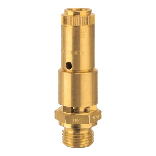 RIEGLER 104782-227.66-32,0 Sicherheitsventil DN 10, Messing, G 3/4, Ansprechdruck 32 bar, 1Stk RIEGLER 104782-227.66-32,0 Sicherheitsventil DN 10, Messing, G 3/4, Ansprechdruck 32 bar, 1Stk von Riegler