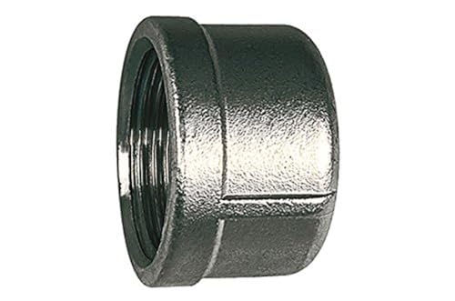 RIEGLER 111864-263.02-ES Verschlusskappe, rund, G 1/4, Durchmesser 17,0 mm, ES 1.4408, 1Stk von Riegler