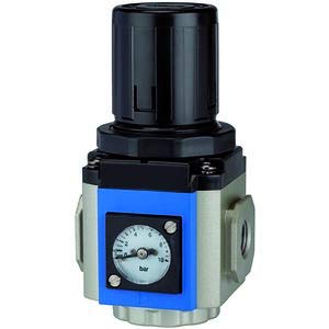 RIEGLER 116462-GR 13 Druckregler »G«, inkl. Manometer, BG 300, G 1/2, 0,5-9 bar, 1Stk RIEGLER 116462-GR 13 Druckregler »G«, inkl. Manometer, BG 300, G 1/2, 0,5-9 bar, 1Stk von Riegler