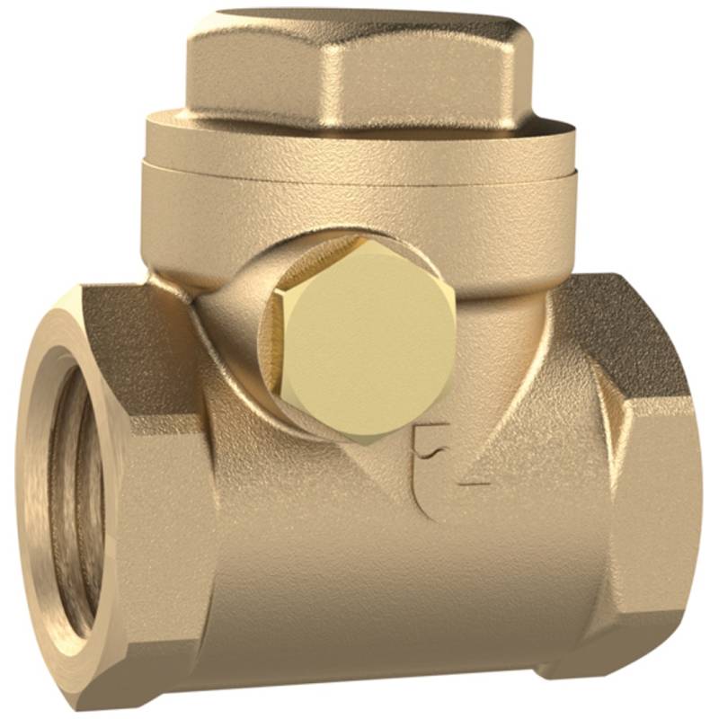 Riegler Rückschlagklappe Ventil Rückfluss Dn50 Messing G2 Wasser Flüssige Medien B-Ware von Riegler