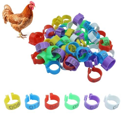Rierdge Hähnchenschenkelbänder in 6 Farben, 01–60 nummerierte Hühnerbeinringe, langlebiger Kunststoff, Geflügel-Identifikationsetiketten für Hühner, Enten, Gänse, 60 Stück von Rierdge