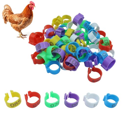 Rierdge Hühnerbeinbänder in 6 Farben, 01–1200, nummerierte Hühnerbeinringe, langlebiger Kunststoff, Geflügelkennzeichnungsschilder für Hühner, Enten, Gänse, 120 Stück von Rierdge
