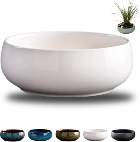 Lotus Bowl Planter,Ceramic Lotus Flower Bowl,Lotus Bowls for Planting in Water Indoors,Lotus Pots for Water Plants,Large Caliber Flow Glaze Non-Porous Hydroponic Container Succulent Plants (White) von Rietoiu