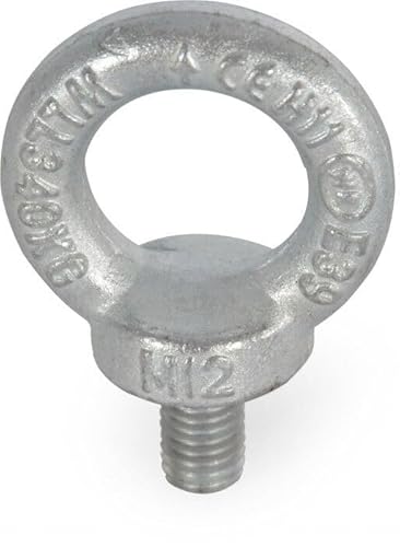 Riggatec M12 Augenbolzen DIN 580 C 15 E galvanisch verzinkt Silber Klasse 8.8 Riggatec M12 Augenbolzen DIN 580 C 15 E galvanisch verzinkt Silber Klasse 8.8 von Riggatec