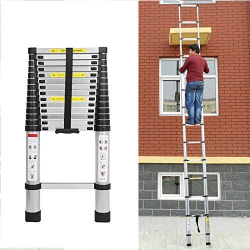 2,6m Teleskopleiter Alu Mehrzweckleiter, 9 Sprossen, rutschfest Verlängerungsleiter, Anlegeleiter Aluminium Leiter Haushaltsleiter für Outdoor & Indoor, 150kg Tragkraft von Rigogo