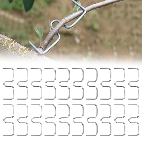 Riisoyu 20pcs Astspreizer für Obstbäume, Baumzieher Astzieher Halter Astfixierer Zweigspreize Für Gartenzweige Astklammern Metall Zweigspreize für Gartenbäume, Garten Wachsen Unterstützung (10cm) Riisoyu 20pcs Astspreizer für Obstbäume, Baumzieher Astzieher Halter Astfixierer Zweigspreize Für Gartenzweige Astklammern Metall Zweigspreize für Gartenbäume, Garten Wachsen Unterstützung (10cm) von Riisoyu