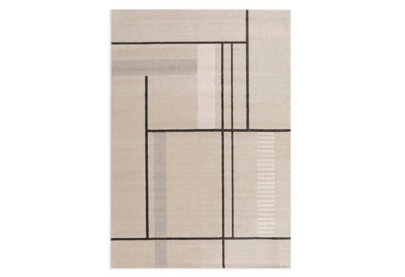 Rikmani Frisé-Teppich Kurzflorteppich, Designer-Teppich für Wohnzimmer, Esszimmer und Schlaf von Rikmani