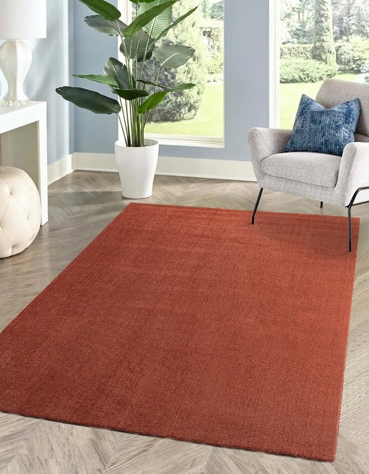 Teppich Waschbarer Teppich Kurzflor-Teppich für Wohnzimmer, Esszimmer, Schlafz, Rikmani von Rikmani