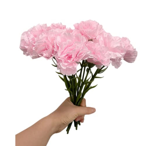 27,9 cm Blumensträuße mit 10 Stängel-Nelken, UV-beständig, kein Verblassen, künstliche Mini-Nelkenblüten, Seidenblüten, für Foto-Requisiten, Zuhause, Party und Hochzeit, Rosa von Rikyo