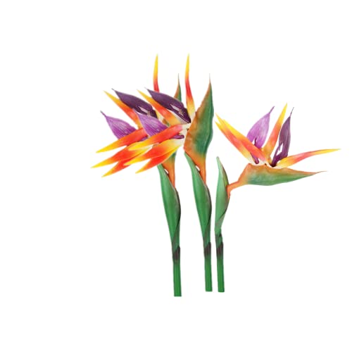 3 Stück große Paradiesvogel, 73cm permanente Blume,künstliche Strelitzie Tropische Pflanzen,Blumenteil ist aus weichem Gummi,Blumenpflanzen für Home Office Blumenstiel 0,8cm (orange) von Rikyo