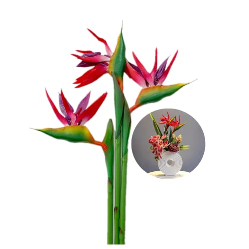 Rikyo 3 Stück große Paradiesvogel 74 cm,False imitiert Tropische Pflanzen,Blumenteil ist aus weichem Gummi, künstliche Blumenpflanzen für Home Office, Blumenstiel 0,8 cm (rot) von Rikyo