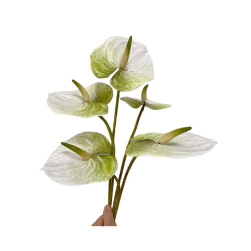 5 Stück 61 cm künstliche Anthurium-Lilienblumen, permanent für Heimdekoration, Blumenstrauß und grüne Blätter für Zuhause, Braut, Hochzeit, Festival, Party, Handwerk, Ladendekoration(Weiß) von Rikyo