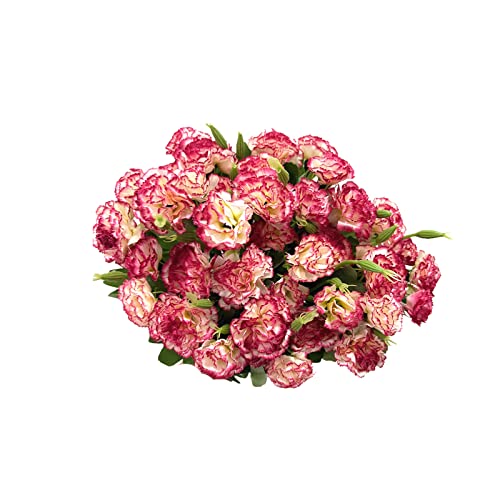 Rikyo Blumenstrauß aus künstlichen Seidennelken, 30,5 cm, Blumenstrauß und grüne Blätter, für Zuhause, Party, Braut, Hochzeit, Festival, Dekoration, mit 10 Stück pro Strauß (roter Rand, weiß) von Rikyo