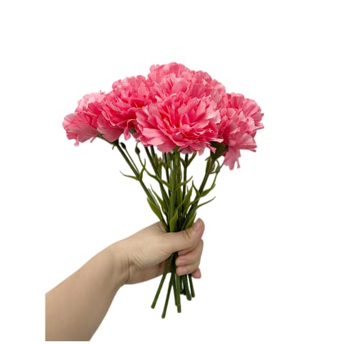 Rikyo 28 cm Hellrot Blumensträuße mit 10 Stängel-Nelken, UV-beständig, kein Verblassen, künstliche Mini-Nelkenblüten, Seidenblüten, für Foto-Requisiten, Heimparty und Hochzeitsdekoration von Rikyo