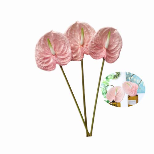 Rikyo Künstliche Anthurium-Lilien, permanente Blumen, 66 cm, 3 Stück, tropische Kunstpflanzen, Blumensträuße für Tischdekoration, Brautschmuck, Hochzeit, Festival, Dekoration, Blume (Hellrosa) von Rikyo