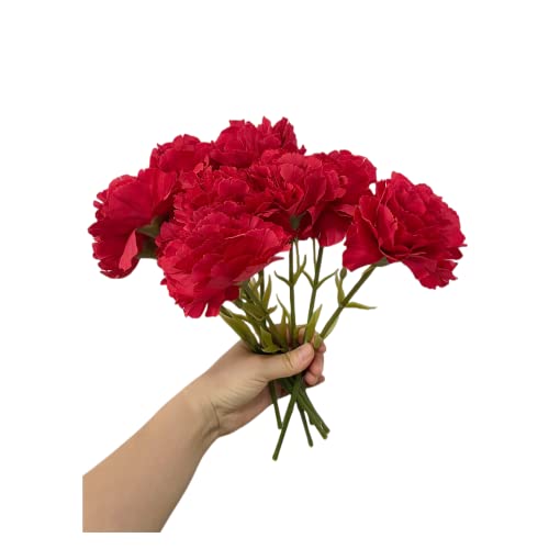 Rikyo 27,9 cm Blumensträuße mit 10 Stielen,für den Außenbereich,Mini-Nelken,Seidenblätter, künstliche Blumen für Immer Pflanzen,für Foto-Requisiten,Heim-Party und Hochzeitsdekoration (rot-10) von Rikyo