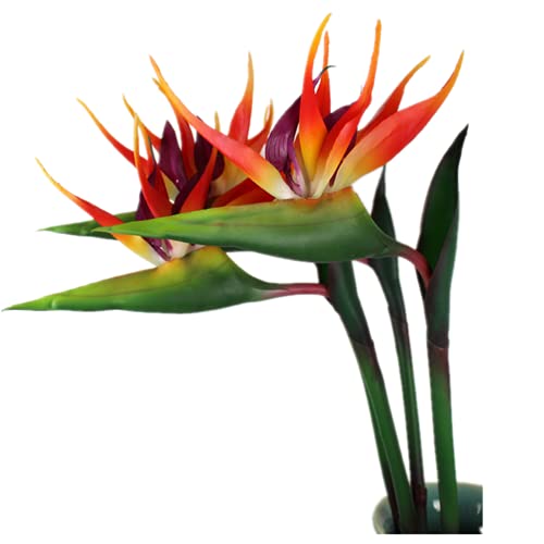 Rikyo 3 Stängel orange-rot Große Paradiesvogel 81 cm,permanente Blume UV-beständig kein Verblassen, Blumenteil ist aus weichem Gummi, künstliche Blumenpflanzen für Home Office, Blumenstiel 1.3 cm von Rikyo