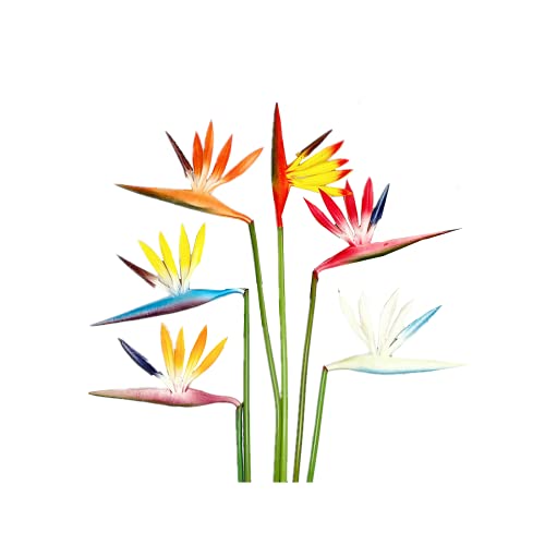 Rikyo Künstliche Blumen, 6 Stück, Paradiesvogel, 58,4 cm, permanente Blumen, Tropische Kunstpflanzen, Blumensträuße für Büro, Zuhause, Party, Arrangement, Topfpflanzen, Mehrfarbig von Rikyo