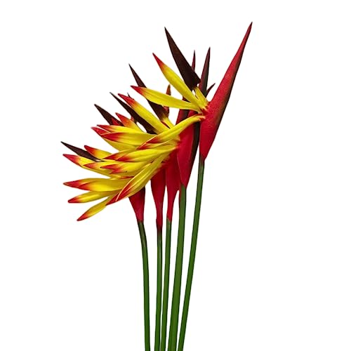 Rikyo 6 Stück Künstliche Blumen Paradiesvogel, 58,4 cm permanente Blume, Strelitzia Tropische Kunstpflanze, Blumensträuße für Büro, Zuhause, Party-Dekorationen, Arrangement (gelb) von Rikyo