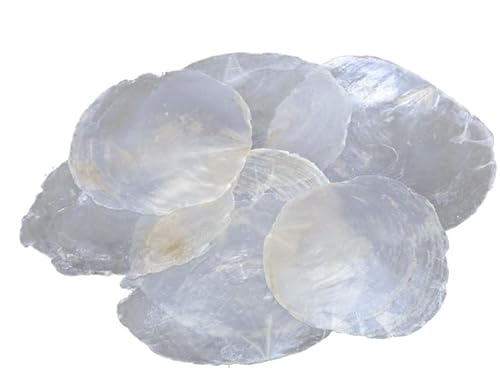 10 Stück Perlmutt Scheiben Capiz Perlmuttscheiben Natur Weiss 6-11cm TISCHKARTEN Namenskarten Muschelscheiben runde Perlmuttplatten Maritime Deko Anker Ostsee Nordsee Muscheln… von RiloStore